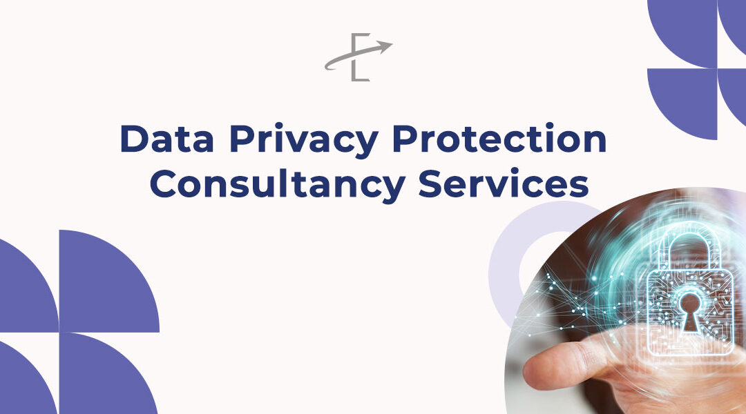 Data Privacy Protection Consultancy Services