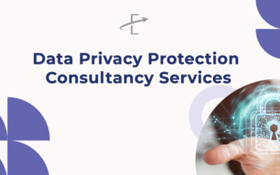 Data Privacy Protection Consultancy Services